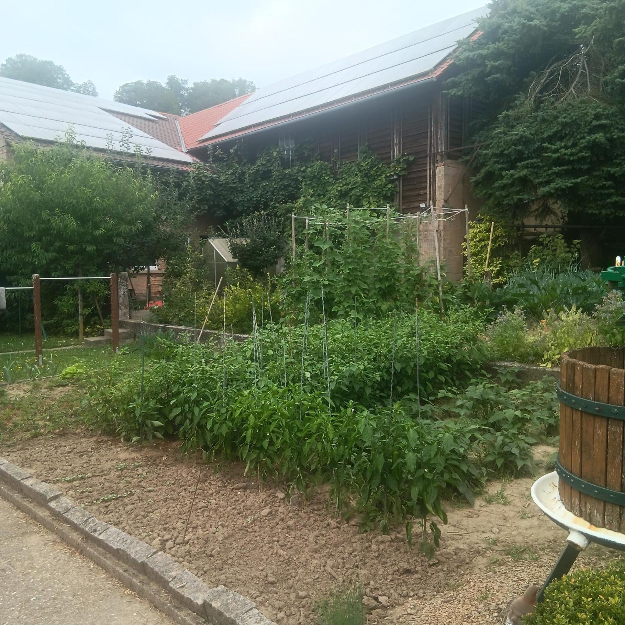 Weingut Juergen - Lutz Apartamento Angelbachtal Exterior foto